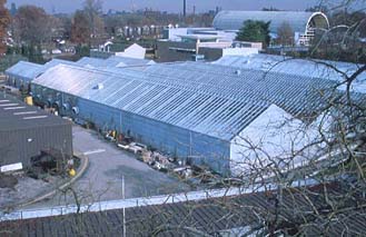 MBG Production Greenhouse Complex