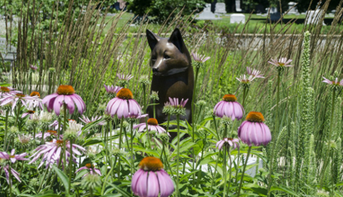 Bellefontaine Arboretum