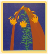 Mid America Regional Lily Society